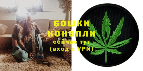 прущий лед Белокуриха