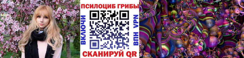 дарнет шоп  Емва  Галлюциногенные грибы ЛСД 